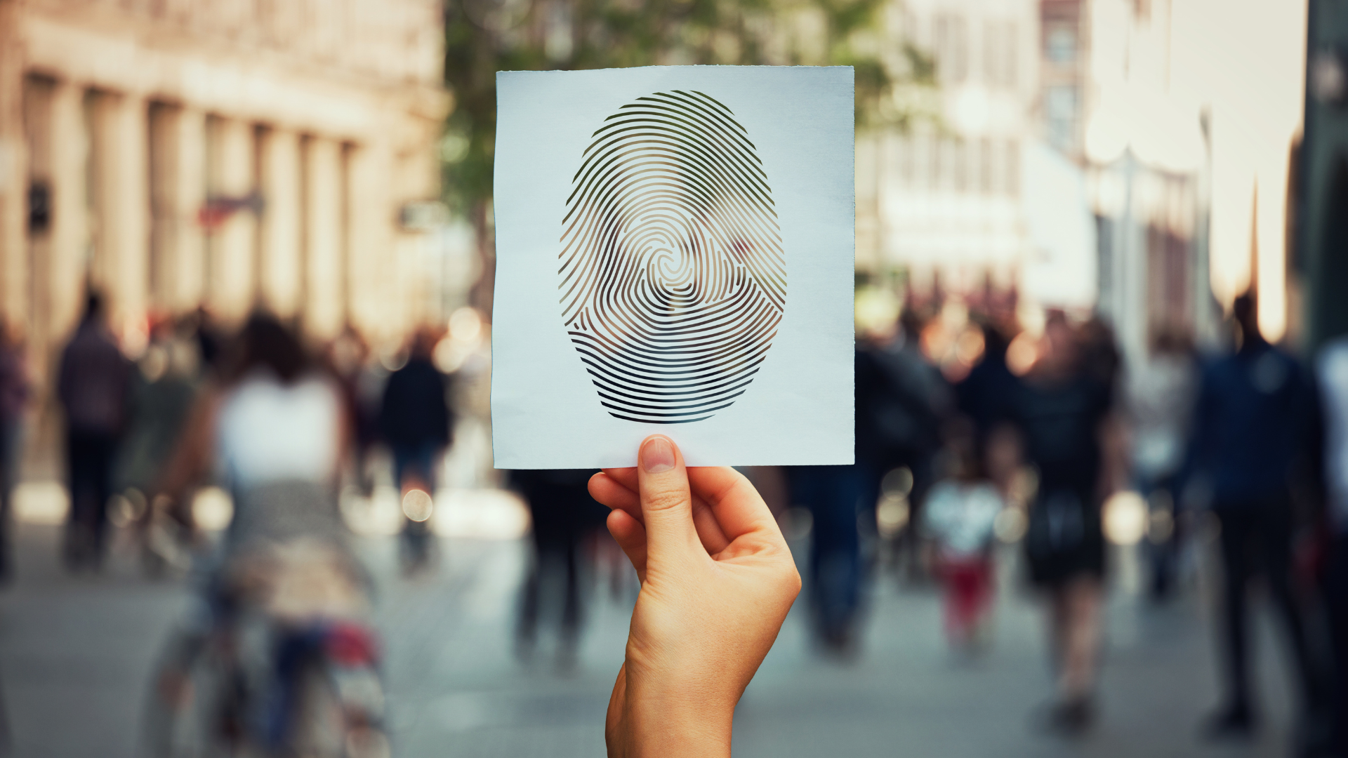 Verified Identity

